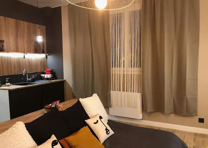 Le Tulum, T2, Hyper-Centre, Place Aux Herbes