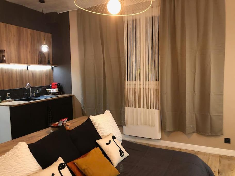 Le Tulum, T2, Hyper-centre, Place Aux Herbes Apartment Mâcon